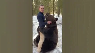 REAL BEAR attacked crazy man / ONLY IN RUSSIA