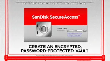 usb flash SanDisk Cruzer Force
